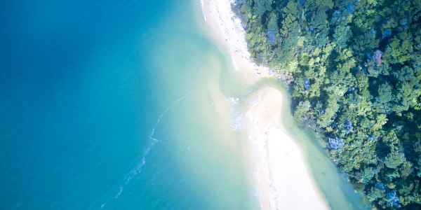 Entre plages et forêts : l'Abel Tasman Coast Track